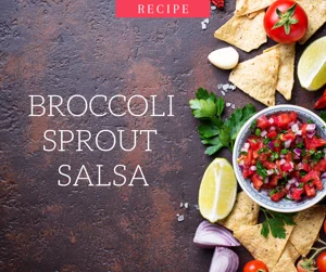 Broccoli Sprout Salsa