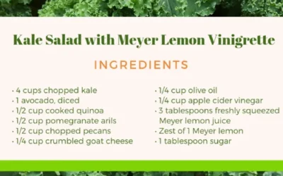 Kale Salad with Meyer Lemon Vinaigrette