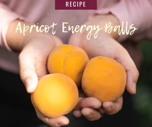 Apricot Energy Balls