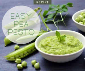 Easy Pea Pesto