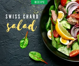 Swiss Chard Salad
