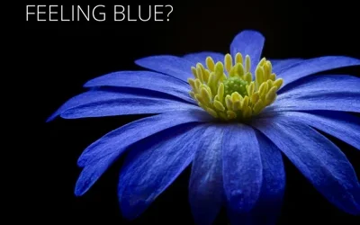 Dealing with Depression?