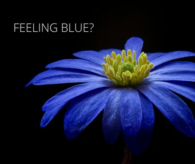 #13-feeling-blue