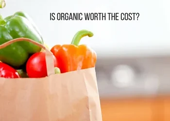 Organic Food – Is it Worth the Cost?
