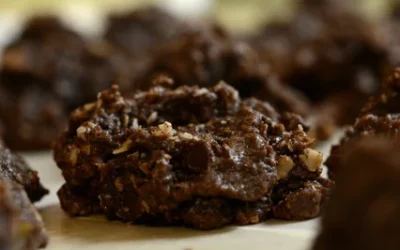 Chocolate Fudge Cookies