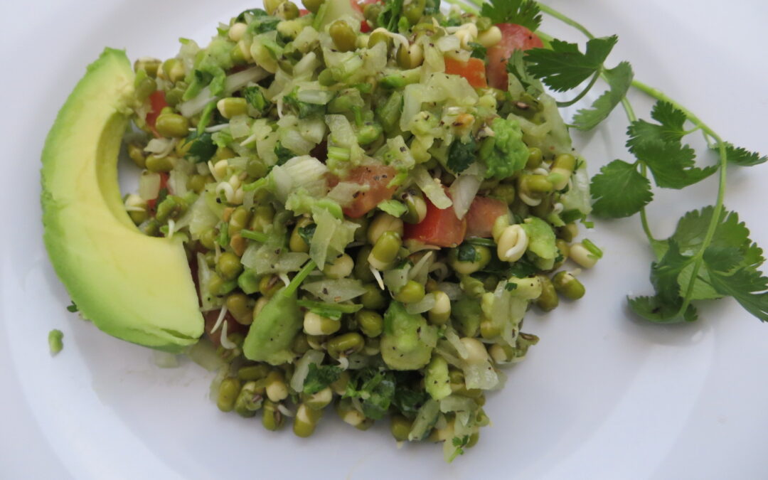 Sprouted Bean Salad with Avocado Dressing