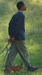Walking for Prostate Health